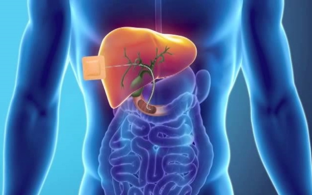 Biliary Drainage Procedures